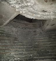 Photo at an on site field inspection.